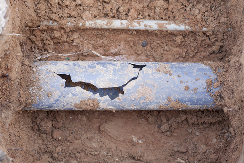How do you know if your sewer line is broken